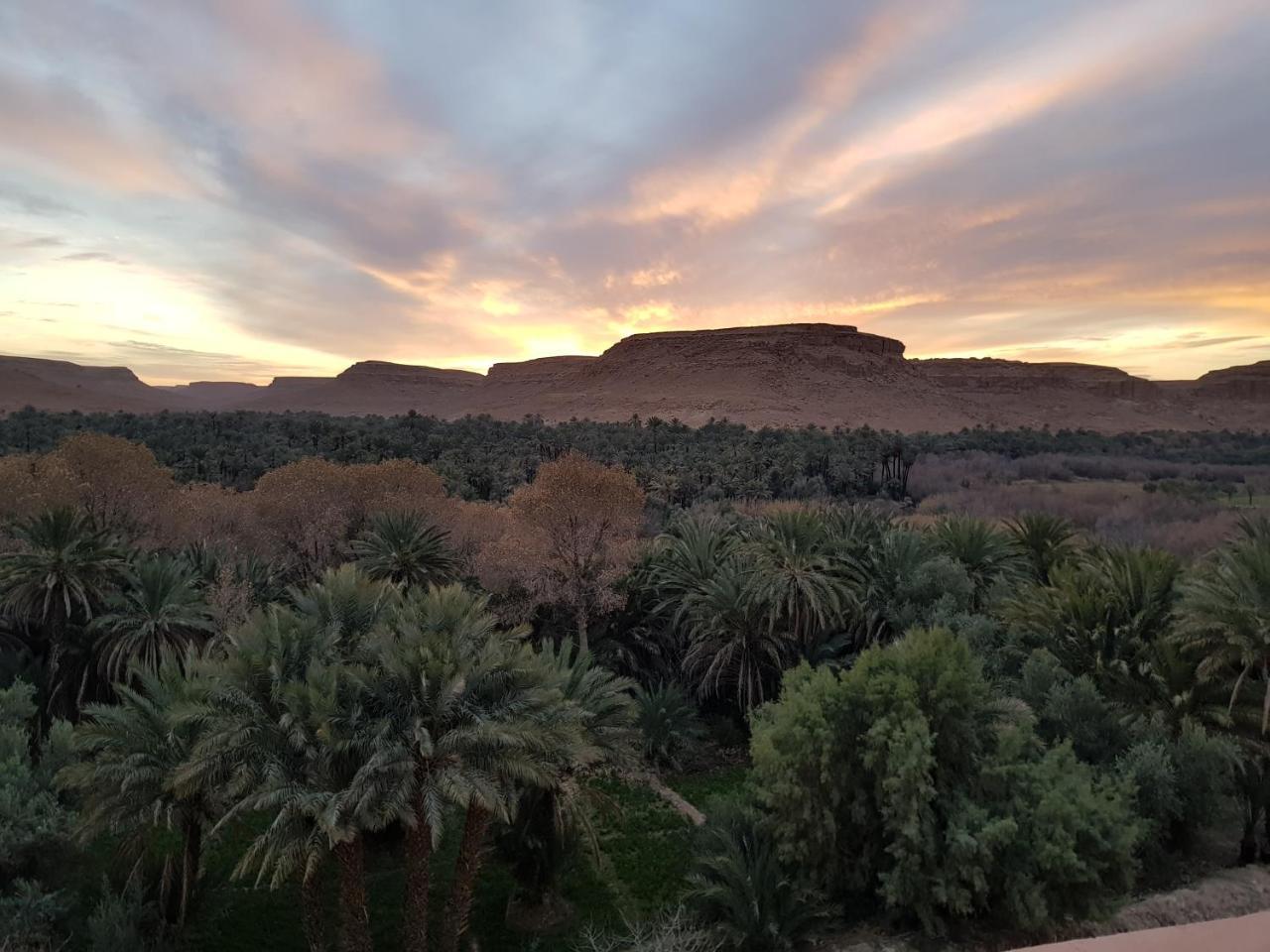 Maison D'Hotes Sahara Aoufous Eksteriør billede